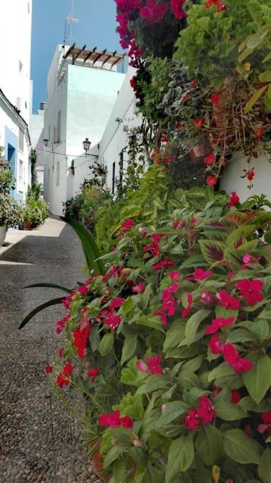 Apartmán Corazon De Conil Conil De La Frontera Exteriér fotografie