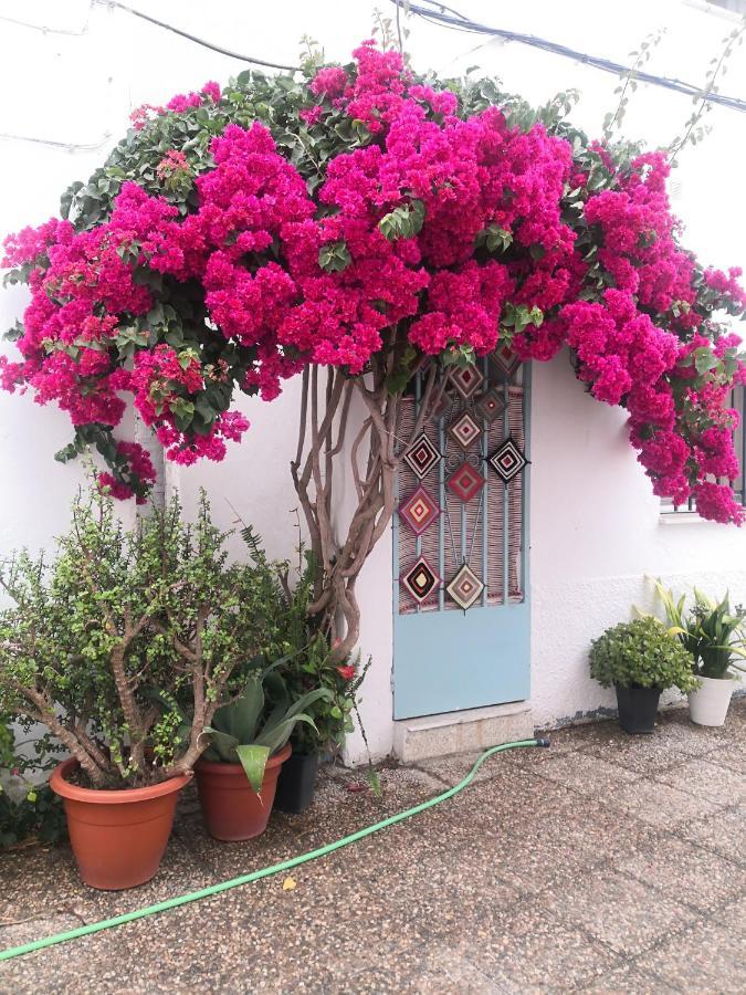 Apartmán Corazon De Conil Conil De La Frontera Exteriér fotografie