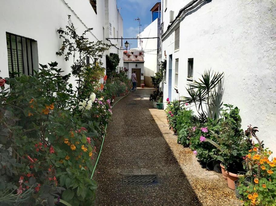 Apartmán Corazon De Conil Conil De La Frontera Exteriér fotografie