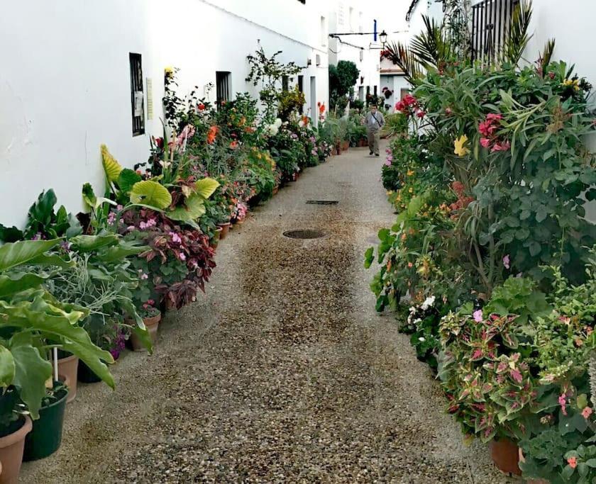 Apartmán Corazon De Conil Conil De La Frontera Exteriér fotografie