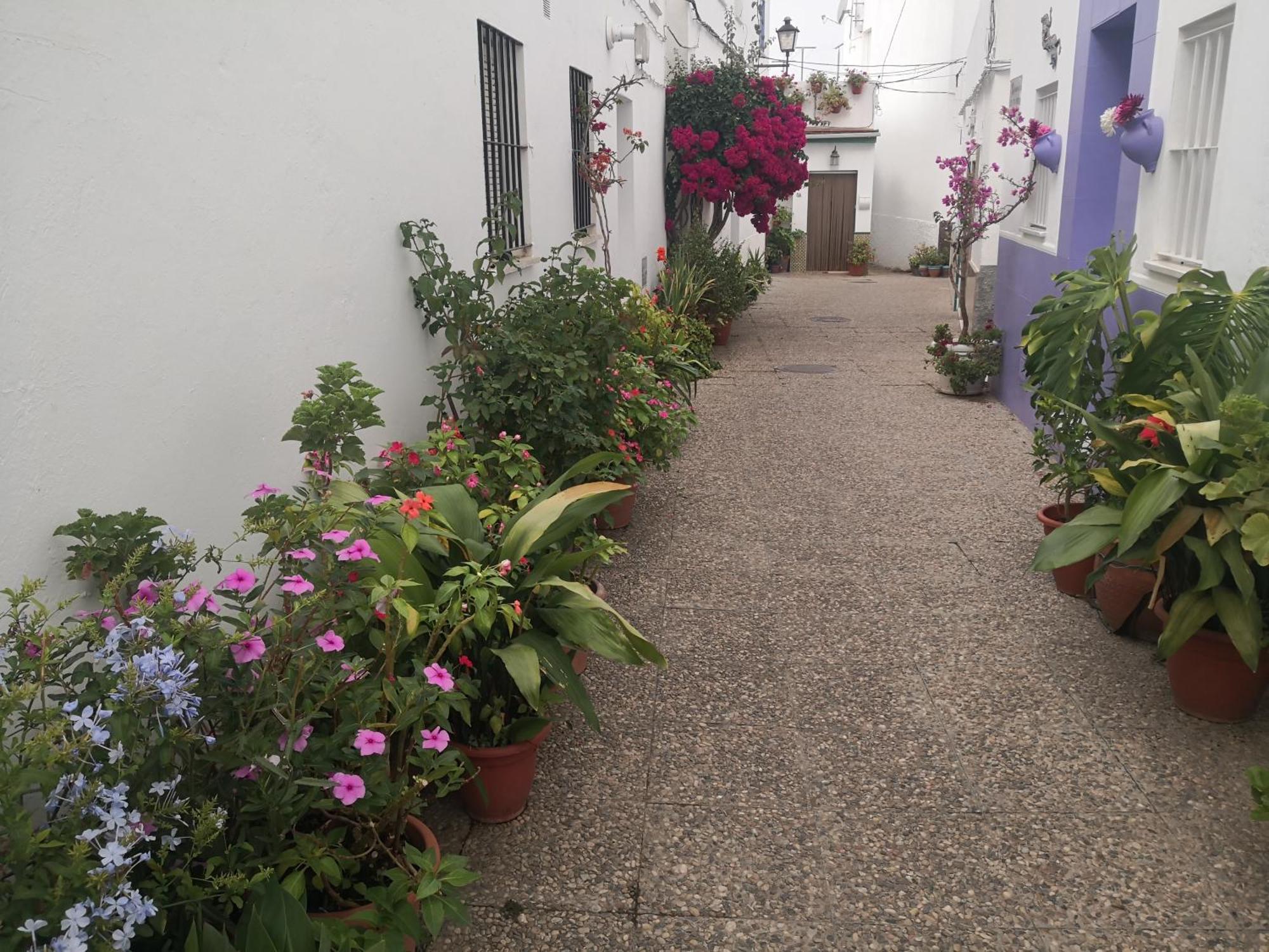 Apartmán Corazon De Conil Conil De La Frontera Exteriér fotografie